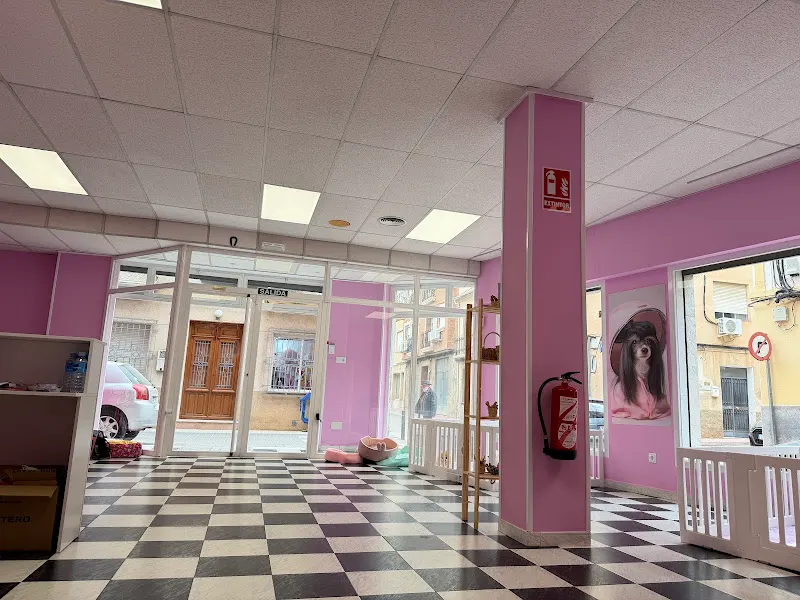 Estilismo canino y centro de bienestar animal Frida - Peluquero de mascotas en Alhama de Murcia - foto 2