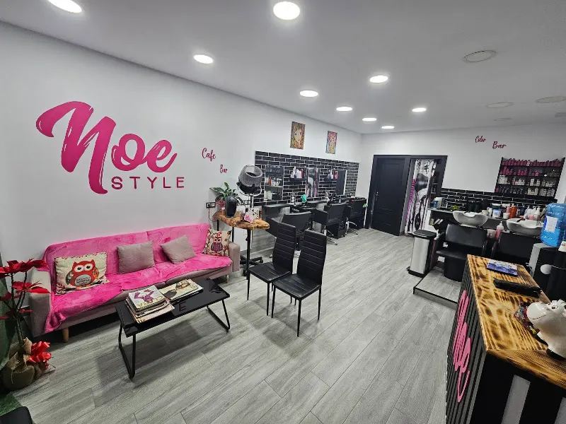 Noe Style