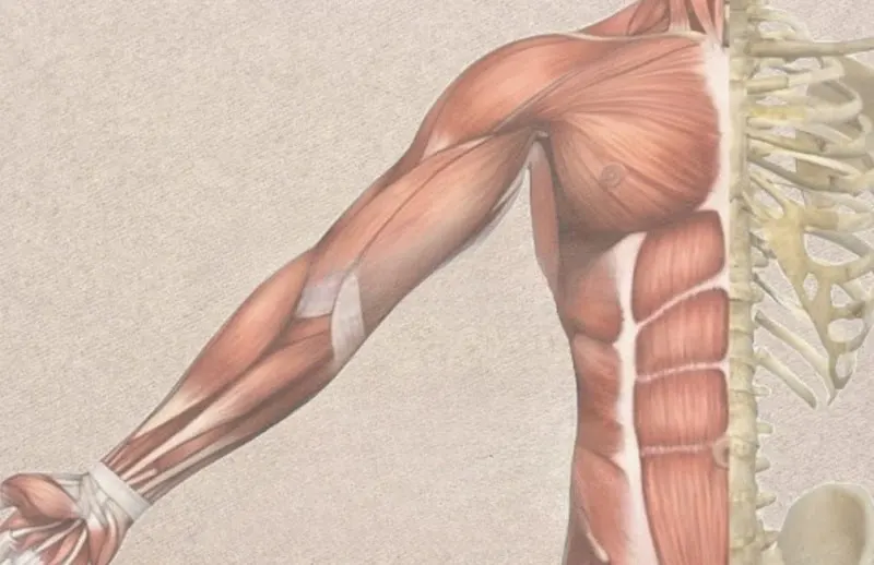 Soma Osteopatía - Algete