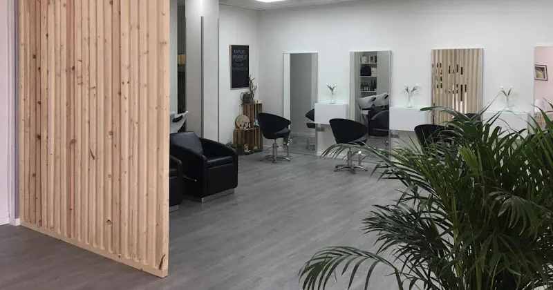 PELUQUERIA JAVIER ORTIZ ESTILISTAS - Peluquería en Picassent - foto 2