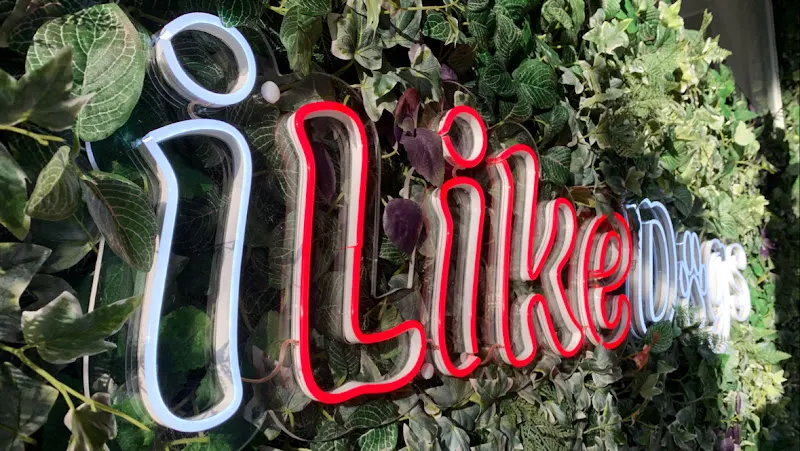 iLikeDogs