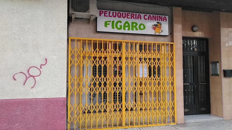 Peluqueria canina Figaro - Humanes de Madrid