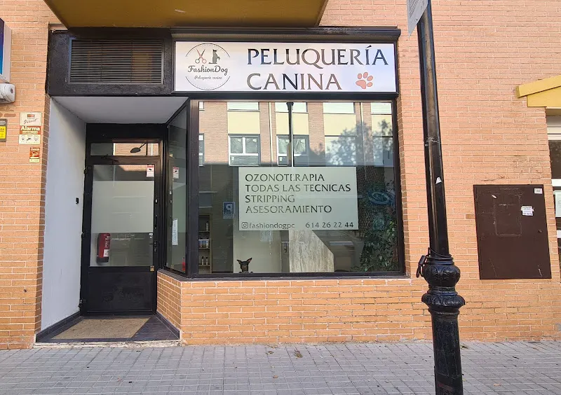 Peluquería canina FashionDog Villanueva de la Cañada - Peluquero de mascotas en Villanueva de la Cañada - foto 2