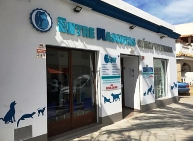 Clínica Veterinaria "Entre Mascotas" Chipiona - Veterinario en Chipiona - foto 2