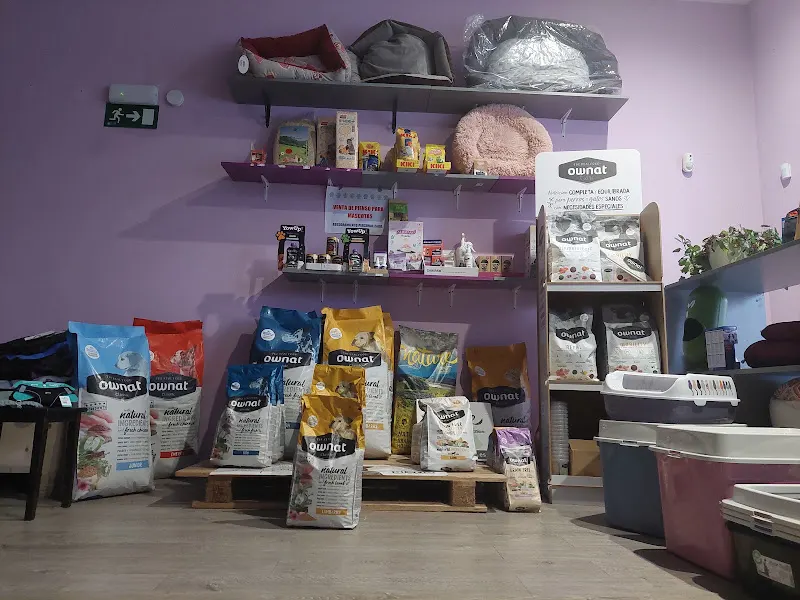 Peluquería Canina Ainara - Burlada