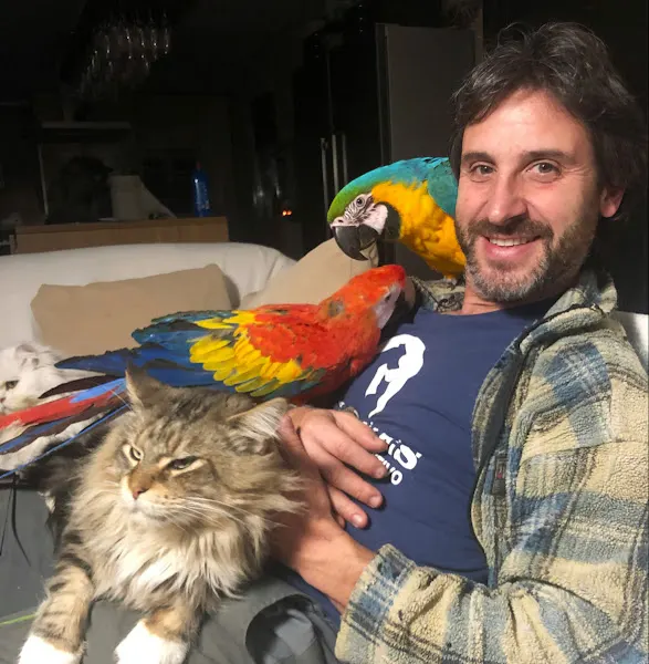 Clínica Veterinaria Peludines - Utebo