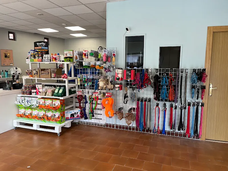 peluquería canina alba