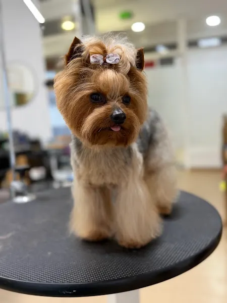 Guaupisimos Peluquería y Estética Canina - Peluquero de mascotas en Osuna - foto 2