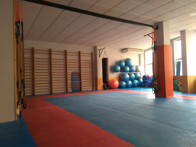 Gimnasio Miguel Ángel - Navalmoral de la Mata