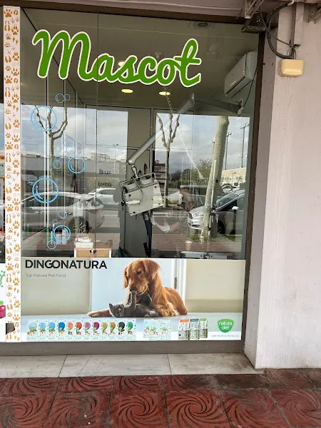 Belle Mascot - Palamós