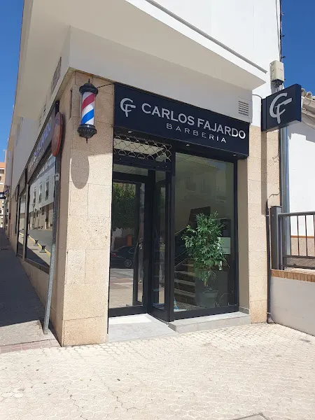 Carlos Fajardo Barberia