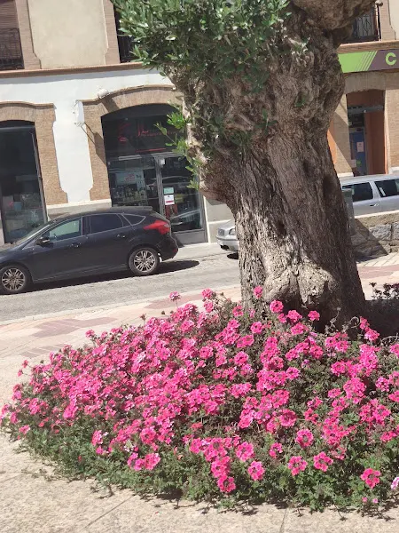 J.l. Belleza - Centro de estética en Pozoblanco