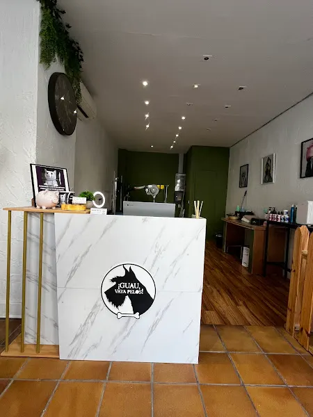 Peluqueria Canina Katia - Monzón
