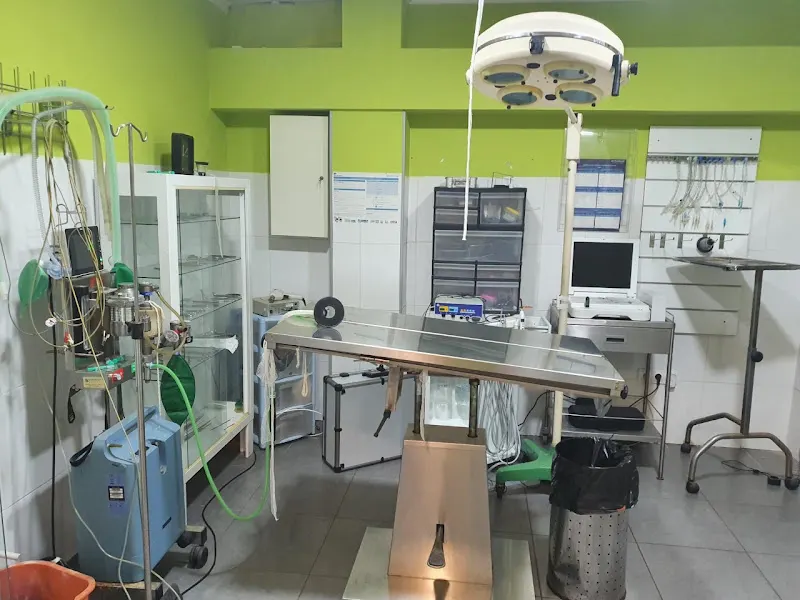 Centro Veterinario Veravet - Veterinario en Vera - foto 2