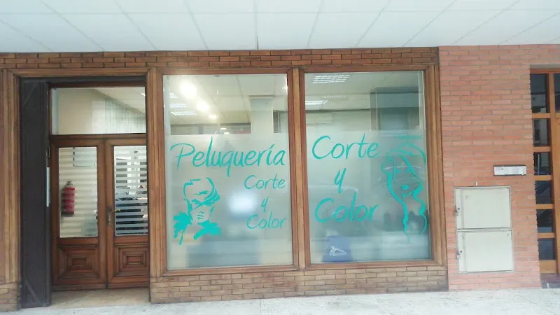 Peluquería María del Pilar Castillo - Peluquería en Ejea de los Caballeros - foto 3