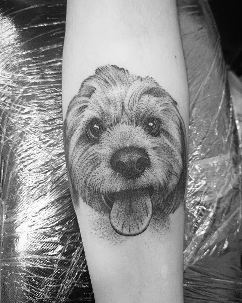 The Lost Island - Estudio de tatuajes en Ejea de los Caballeros - foto 2