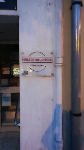 Antònia Micaló i Vila - Sant Feliu de Guíxols