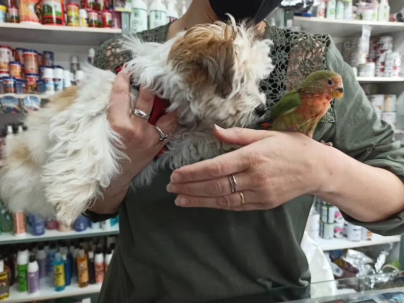 Peluqueria-Pajarería MIZOO Mary Inma - La Roda