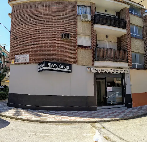 Nieves Castro - Granada