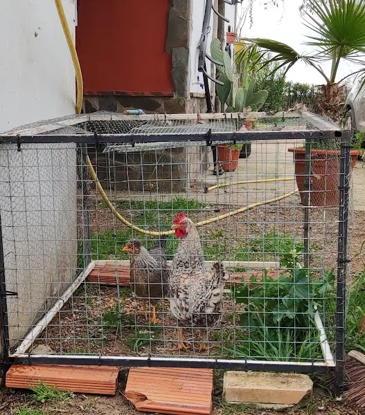 Zoo de Pisko - Montijo