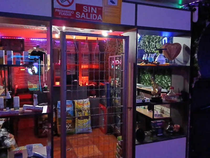 420 GROWSHOP CBD La Solana - Bar en La Solana - foto 2