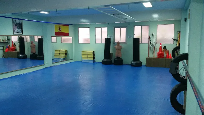 Gimnasio Palfer - La Solana