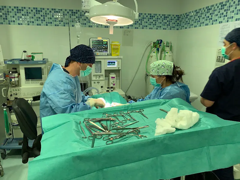 Centro Veterinario A Marosa Verxeles - Viveiro