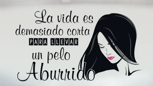 IEI Estilistas - Aldea del Fresno