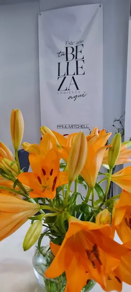 Aacoletto Hair Nails And Beauty - San Miguel de Salinas