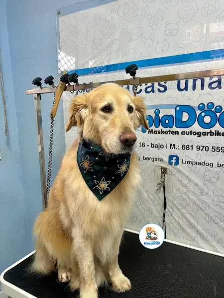 Limpiadog Bergara - Bergara