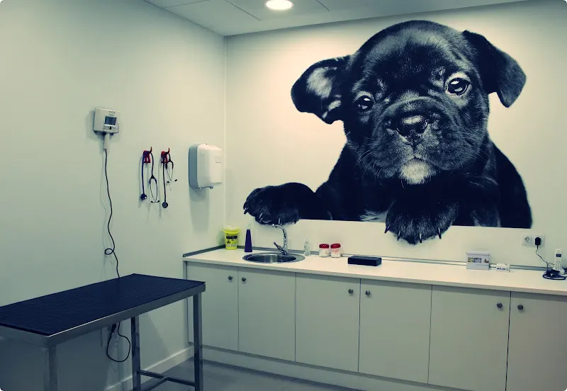 Clínica Veterinaria Bichos - O Barco de Valdeorras