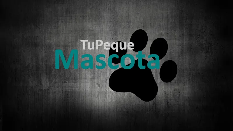 Tu Peque Mascota - Sarria