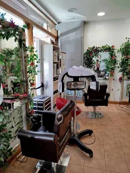 colorstudio estilismo & belleza, Salón ecológico
