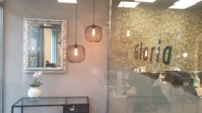 Peluquería y Estética Gloria - Burgos