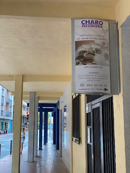 Charo Peluquería - Castellón de la Plana