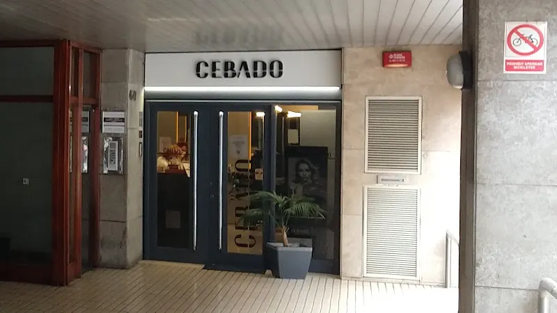 Perruqueria Cebado