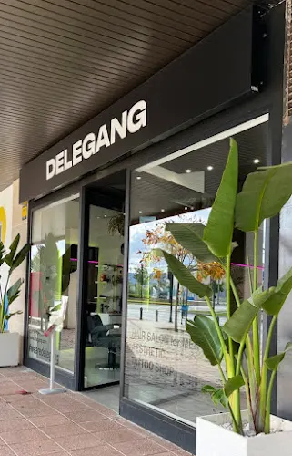 DELEGANG GRANADA