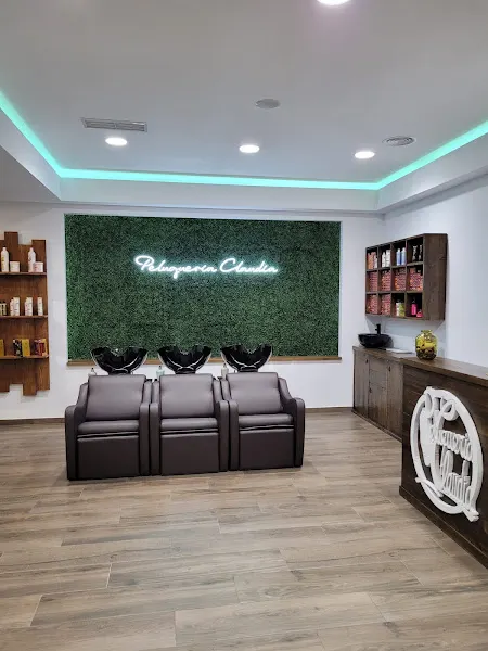 Peluqueria Claudia - Azuqueca de Henares