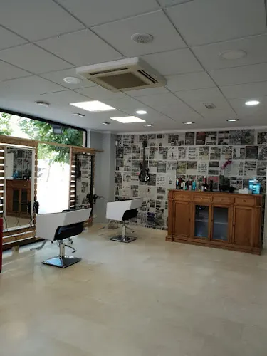 AL concept estilista