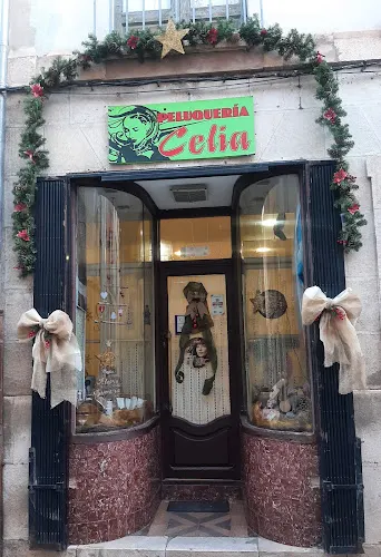 Peluquería Celia - Burgos