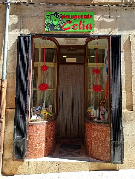 Peluquería Celia - Lerma