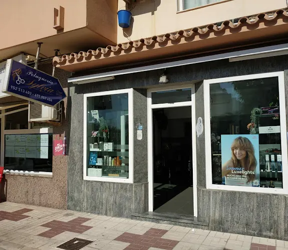 Peluqueria Sylvia - Málaga