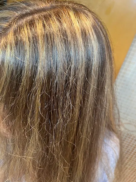 Toni Reina Peluqueros - Barcelona